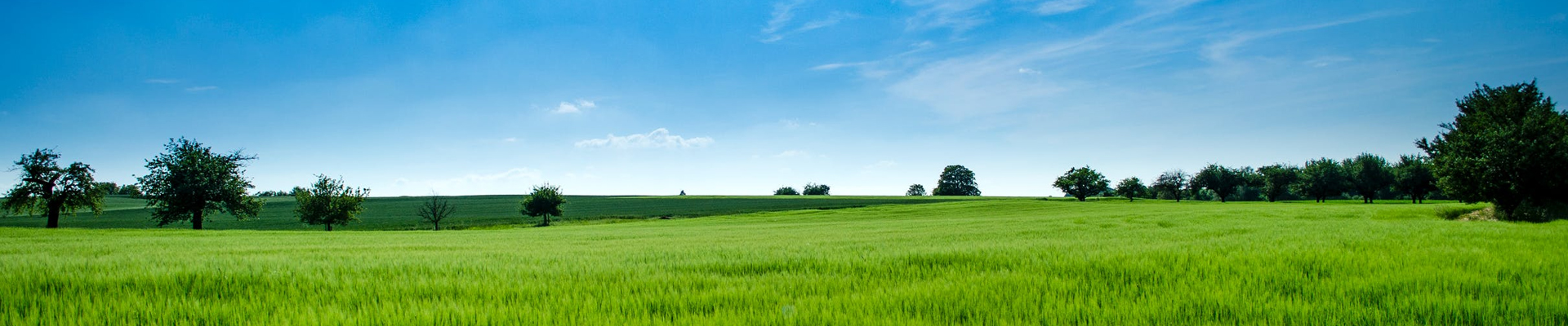 新聞動態(tài)-1